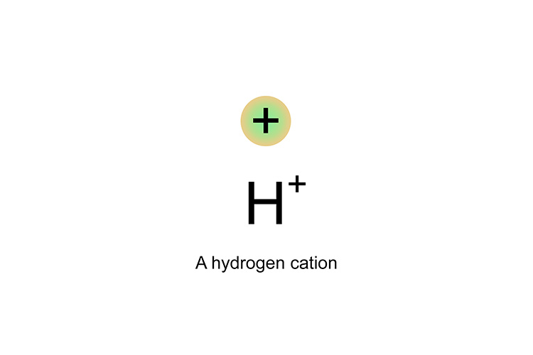 positively charged hydrogen proton